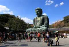 活动模块 