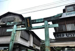 活动模块 