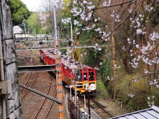 日本游十一天需要多少钱_年底去日本旅游_去日本旅游随团