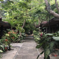 酒店模块 