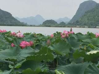 最近去云南旅行_云南旅游出境游_春节前去云南旅游团