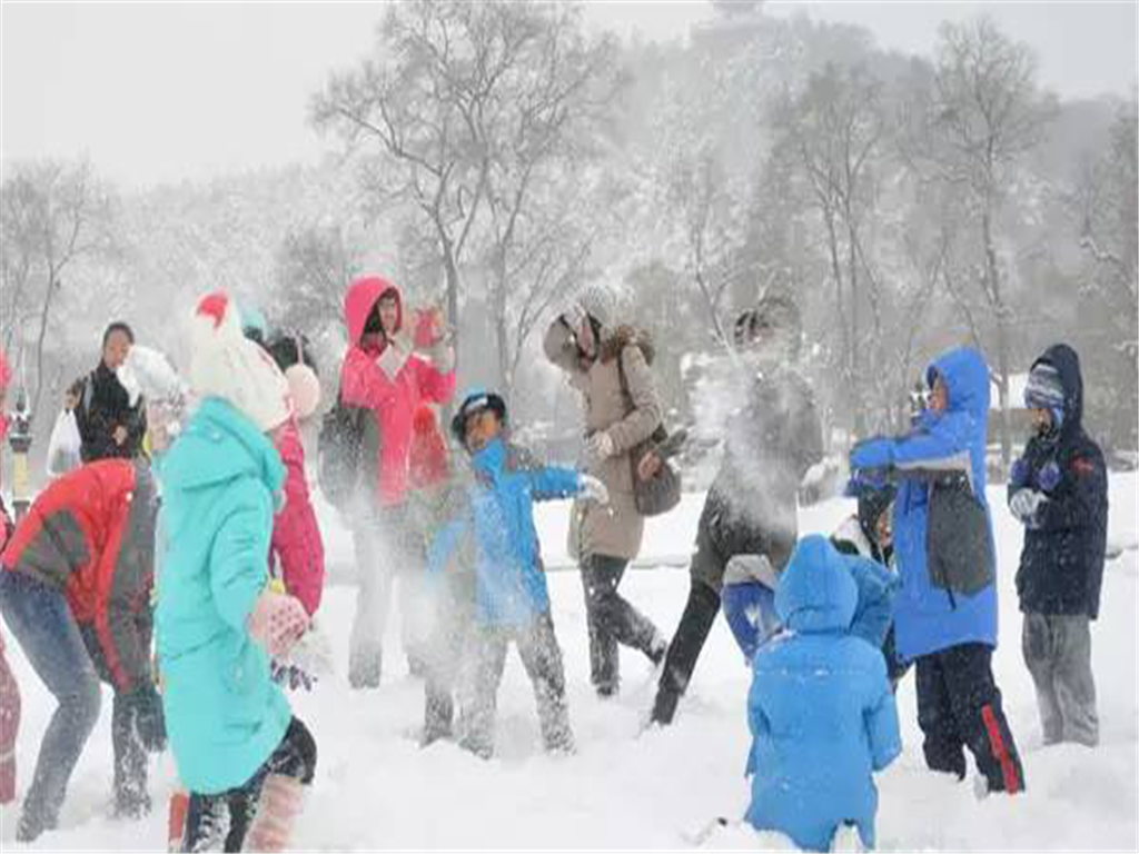 打雪仗图片