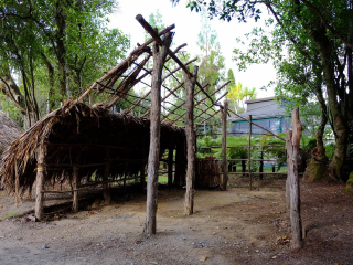 去新西蘭旅游怎么走_(dá)新西蘭組團(tuán)旅游_新西蘭旅游大概多少錢