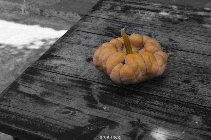 --四人一狗行走古镇 、穿越丛林、 探秘赤水丹