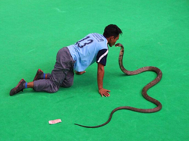 <斯米兰-普吉岛8日游