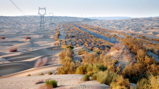 塔里木盆地乘船欣赏两岸风景,船夫收入可观