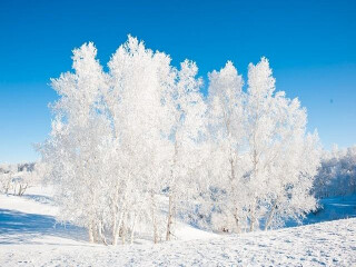 亞布力雪鄉(xiāng)旅游價(jià)格_亞布力雪鄉(xiāng)旅游要多少錢跟團(tuán)_到亞布力雪鄉(xiāng)旅游多少錢