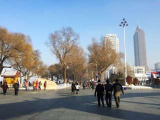 跟团哈尔滨旅游报价_哈尔滨最佳旅游路线_哈尔滨跟团旅游报价