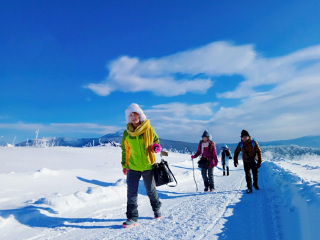 哈尔滨旅游纯玩团_旅游网哈尔滨_年初哈尔滨旅游