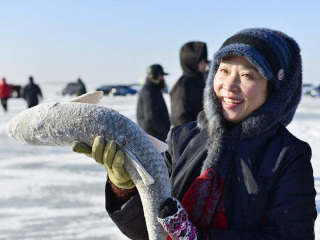 哈尔滨旅游纯玩团_旅游网哈尔滨_年初哈尔滨旅游