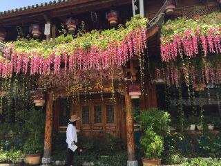 現(xiàn)在去云南香格里拉旅游多少錢_云南香格里拉旅行團_旅行團云南香格里拉游
