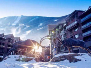 哈尔滨旅游纯玩团_旅游网哈尔滨_年初哈尔滨旅游