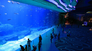 珠海国庆节假日前四天旅游市场情况,总体平稳