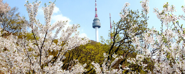 在首尔和大阪之间往返,如果持有日本签证,在仁