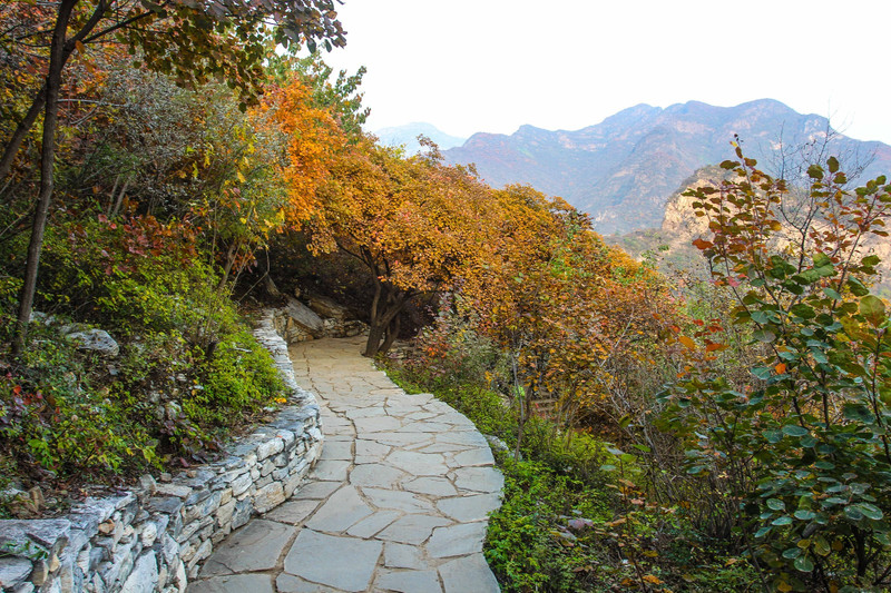 坡峰岭山并不是很高,坡度也颇为平缓,海拔