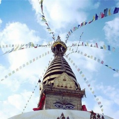 景点模块 
