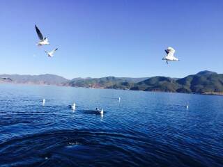云南旅游纯玩团_云南旅行团_云南十日游价格