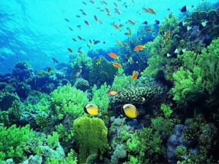 泰國(guó)普吉島自由行還是跟團(tuán)好_東莞到泰國(guó)普吉島游_以往國(guó)慶泰國(guó)普吉島游價(jià)格