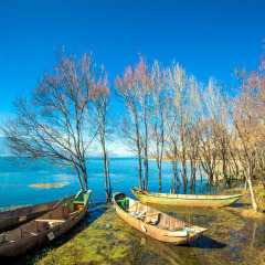 景点模块 
