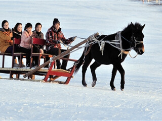 亞布力雪鄉(xiāng)旅游價(jià)格_亞布力雪鄉(xiāng)旅游要多少錢跟團(tuán)_到亞布力雪鄉(xiāng)旅游多少錢