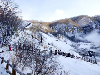 去日本靠譜的旅行團(tuán)_旅行團(tuán)日本游_日本旅游路線