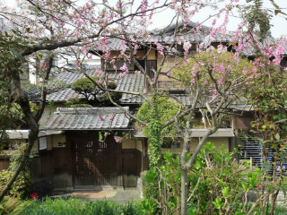 日本游十一天需要多少钱_年底去日本旅游_去日本旅游随团