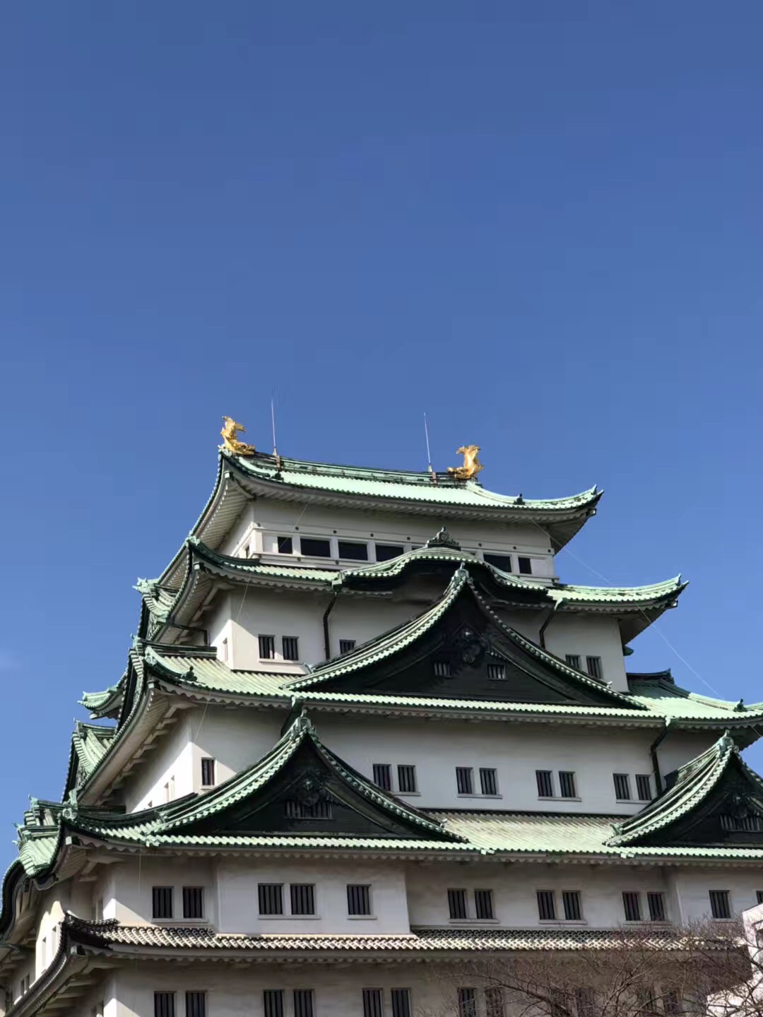 第一次带老人去日本,选择去北海道好还是大阪