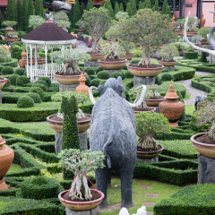 Park Nong Nooch in Thailand