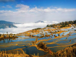 云南昆明自由行組團_云南昆明旅游要多少錢跟團_云南昆明游組團