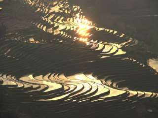 去云南元陽(yáng)梯田報(bào)團(tuán)多少錢(qián)_云南元陽(yáng)梯田旅游團(tuán)報(bào)價(jià)_國(guó)慶云南元陽(yáng)梯田游價(jià)格
