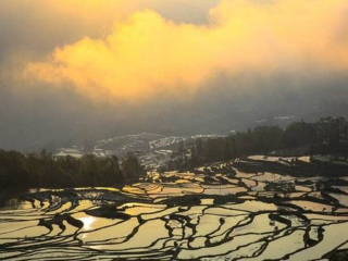去云南元陽(yáng)梯田報(bào)團(tuán)多少錢(qián)_云南元陽(yáng)梯田旅游團(tuán)報(bào)價(jià)_國(guó)慶云南元陽(yáng)梯田游價(jià)格