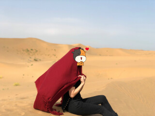 游宁夏_宁夏旅游团价格_去宁夏旅游十一天要多少钱