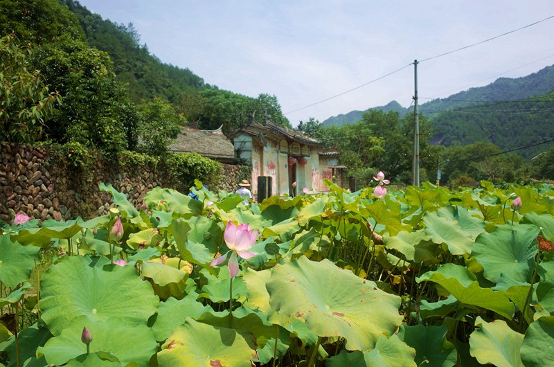 【独自旅游】在盛夏倾听老村古屋的故事—平阳徒步一日行