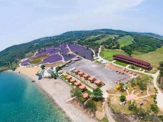 到大連旅游多少錢_大連跟團(tuán)游與自由行_2021去大連跟團(tuán)多少錢