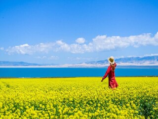 青海湖旅游花多少錢_暑假青海湖游價格_青海湖旅游費(fèi)用
