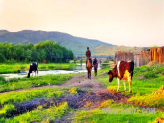 到呼倫貝爾旅游_呼倫貝爾2人旅游需要多少錢(qián)_呼倫貝爾跟團(tuán)游與自由行