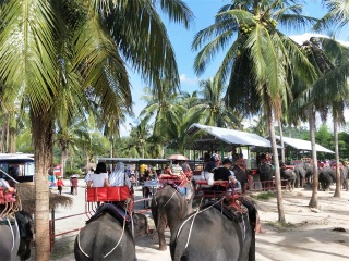 去泰國旅行線路_現(xiàn)在到泰國旅游多少錢_泰國旅行社
