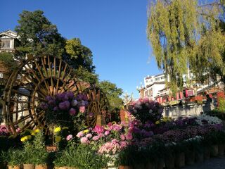 云南麗江旅行跟團(tuán)_云南麗江半自助游_云南麗江旅游一次多少錢