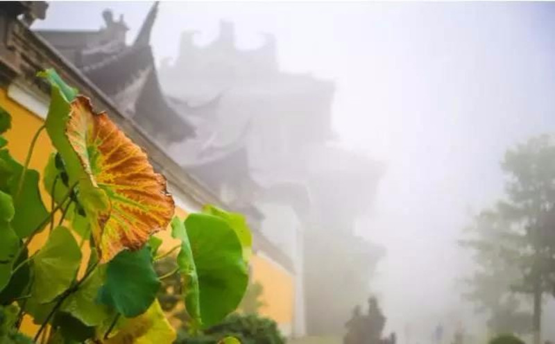 雨中逛寺院, 禅意浓浓      