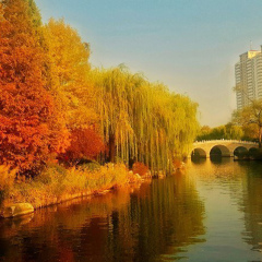 景点模块 