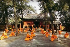 景点模块 