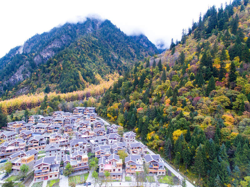 川西黑水县10月27-31日5日绝美彩林游