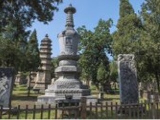 河南少林寺跟團游與自由行_河南少林寺游跟團多少錢_河南少林寺私人定制旅游