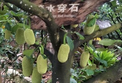 活动模块 