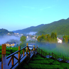 景点模块 