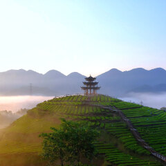 景点模块 