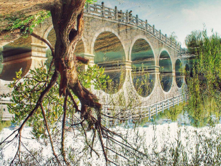 贵州黄果树旅游团游_游贵州黄果树_去贵州黄果树旅游组团