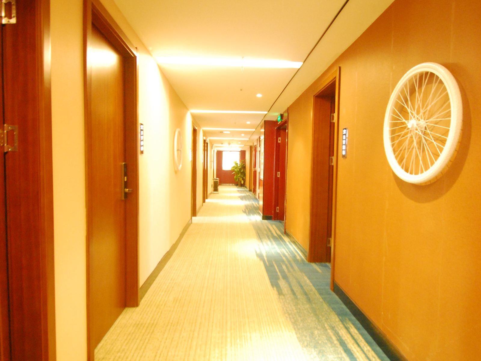 公共区域