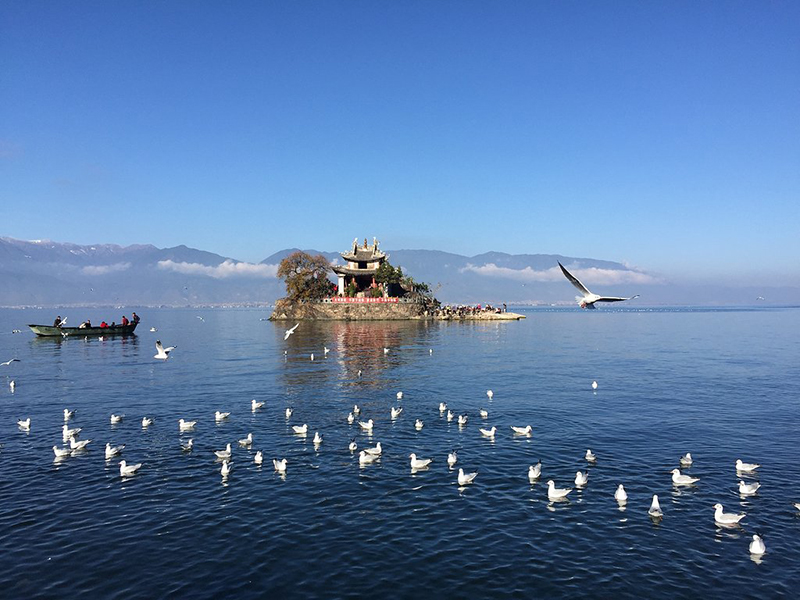 大理洱海 喜洲 双廊 环海一日游>小团环海/4 2骑行/探索喜洲/双廊