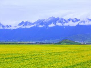蘭州青海湖旅游最佳路線_到蘭州青海湖旅游多少錢_2021年蘭州青海湖旅游團(tuán)報(bào)價(jià)